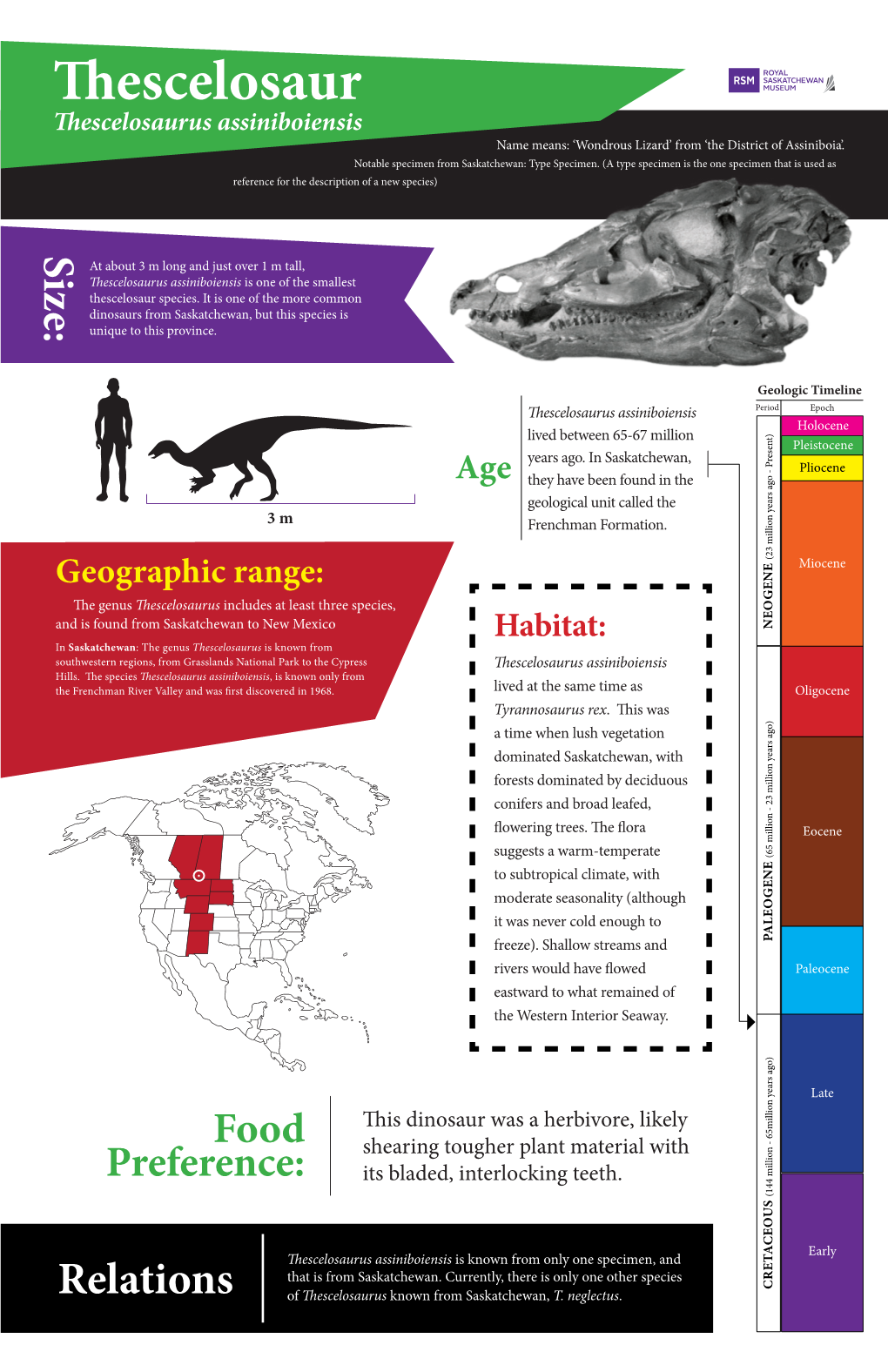 Thescelosaur Thescelosaurus Assiniboiensis Name Means: ‘Wondrous Lizard’ from ‘The District of Assiniboia’