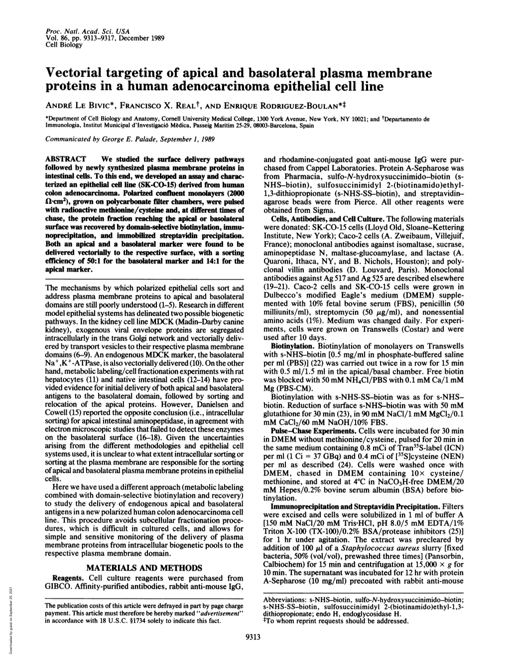 Vectorial Targeting of Apical and Basolateral Plasma Membrane Proteins in a Human Adenocarcinoma Epithelial Cell Line ANDRE LE Bivic*, FRANCISCO X