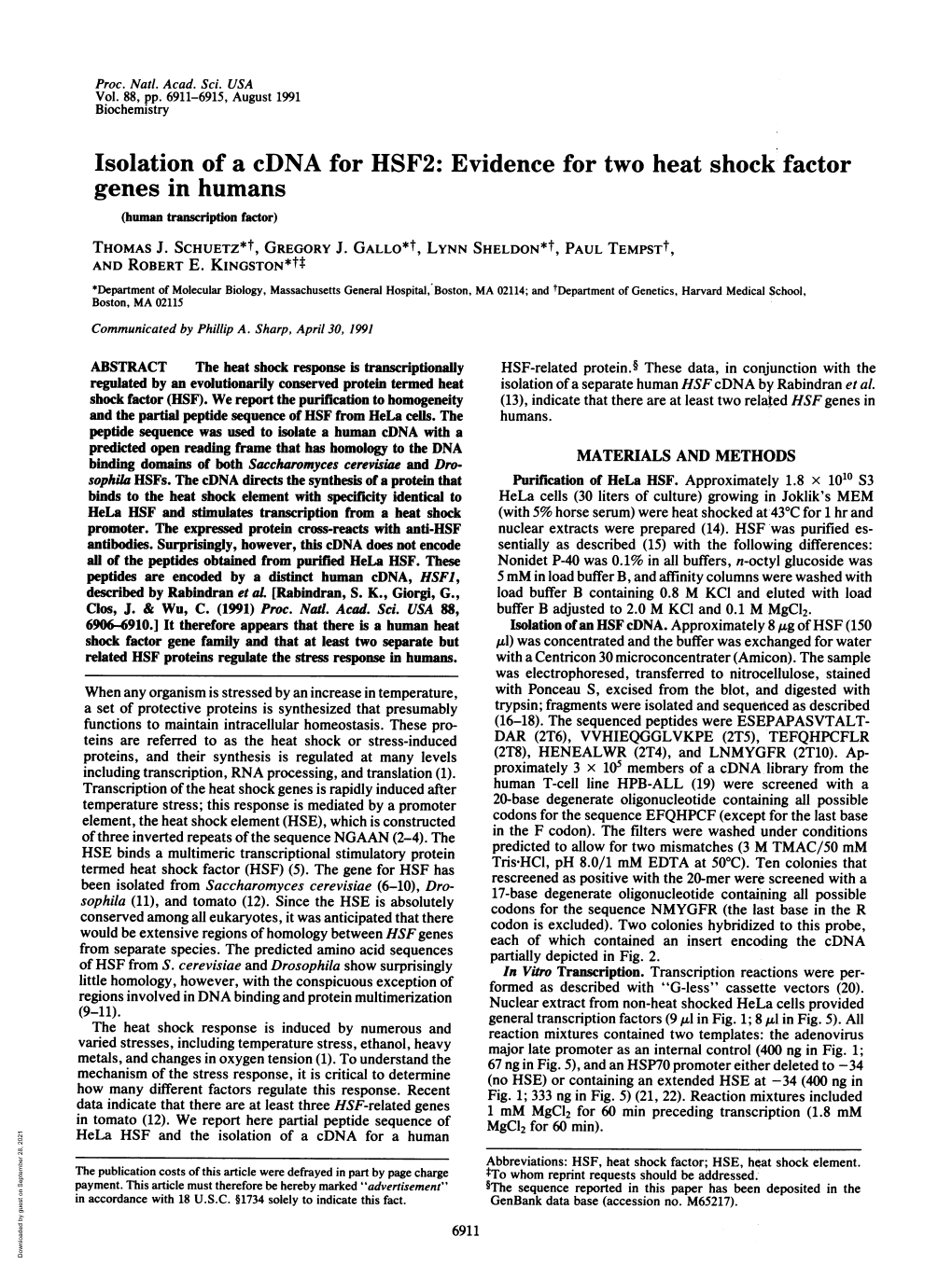 Isolation of a Cdna for HSF2: Evidence for Two Heat Shock Factor Genes in Humans (Human Transcription Factor) THOMAS J