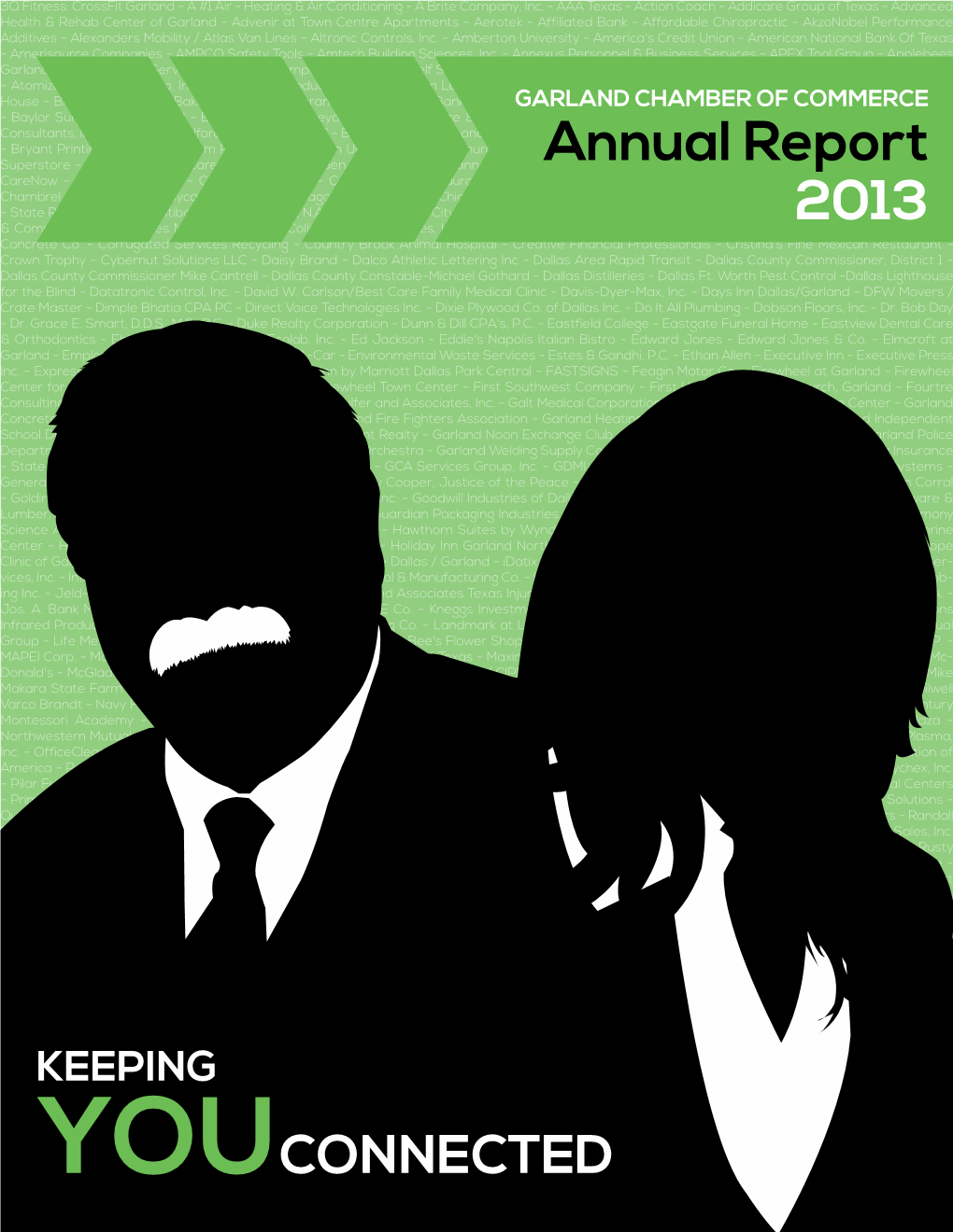 Annual Report 2013