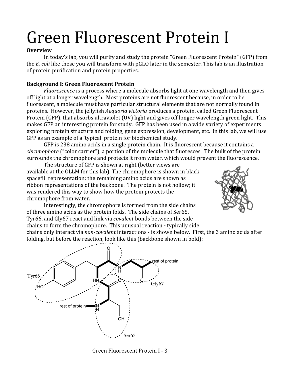 GFP Purification