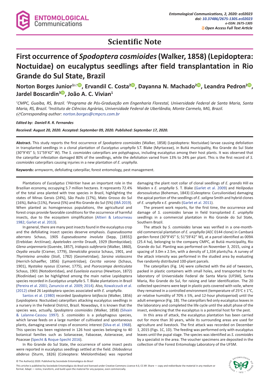 (Lepidoptera: Noctuidae) on Eucalyptus Seedlings After in Field