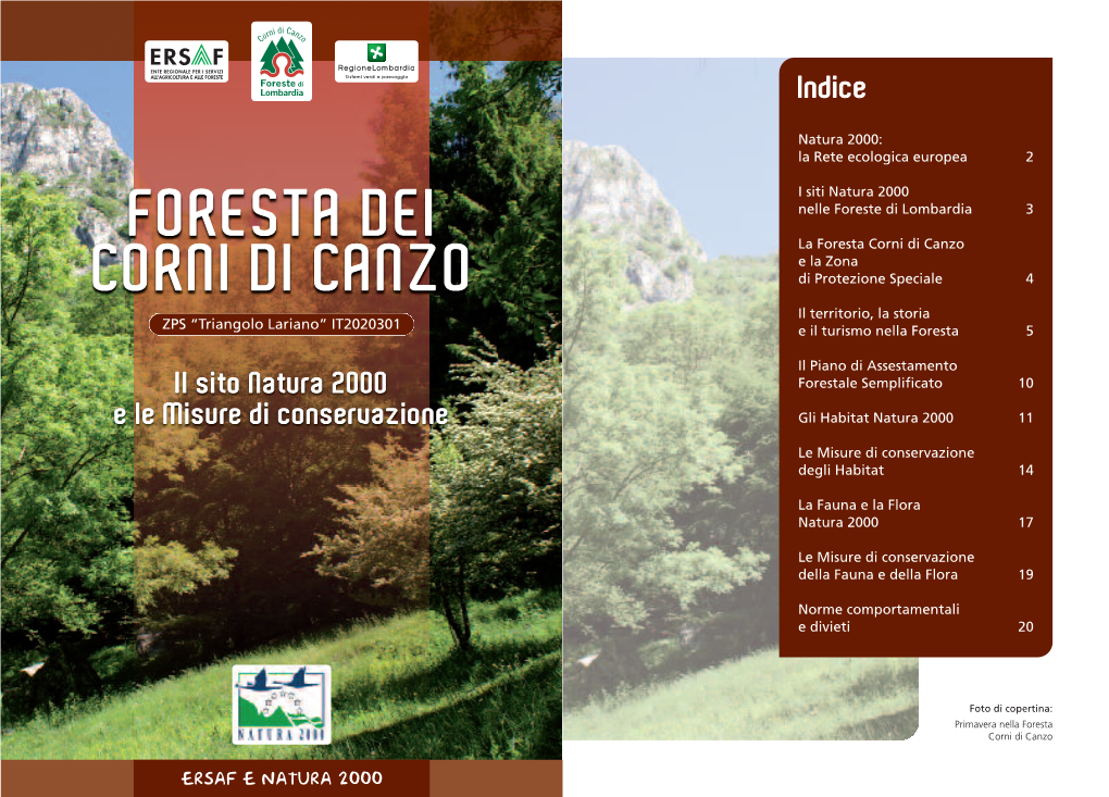 Foresta Dei Corni Di Canzo