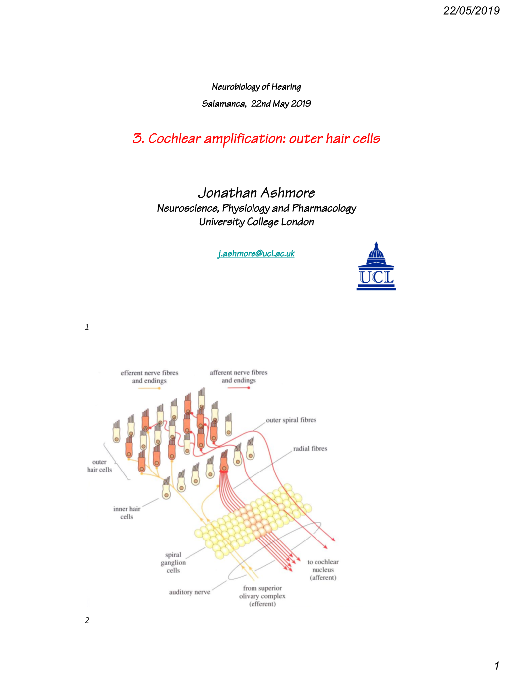 3. Cochlear Amplification: Outer Hair Cells Jonathan Ashmore