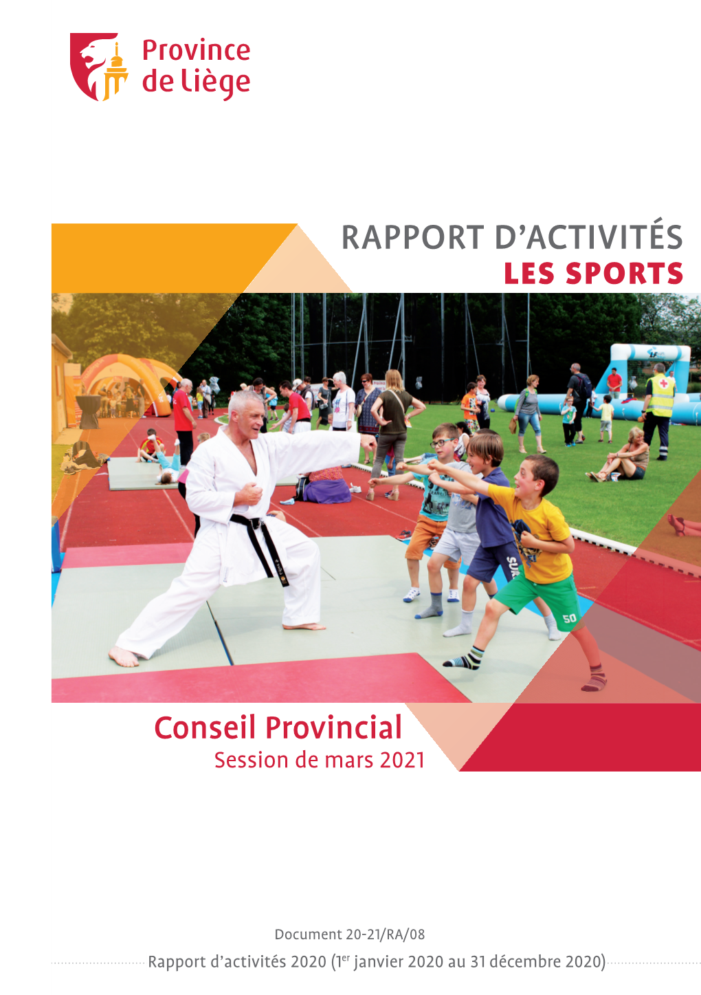 Rapport D'activités