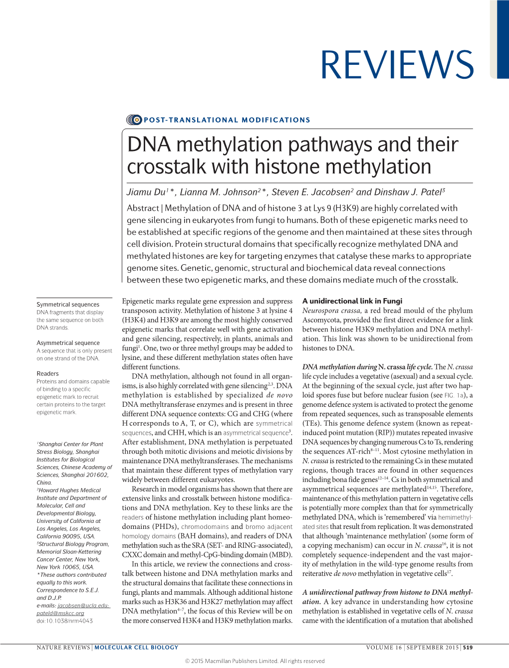 DNA Methylation Pathways and Their Crosstalk with Histone Methylation