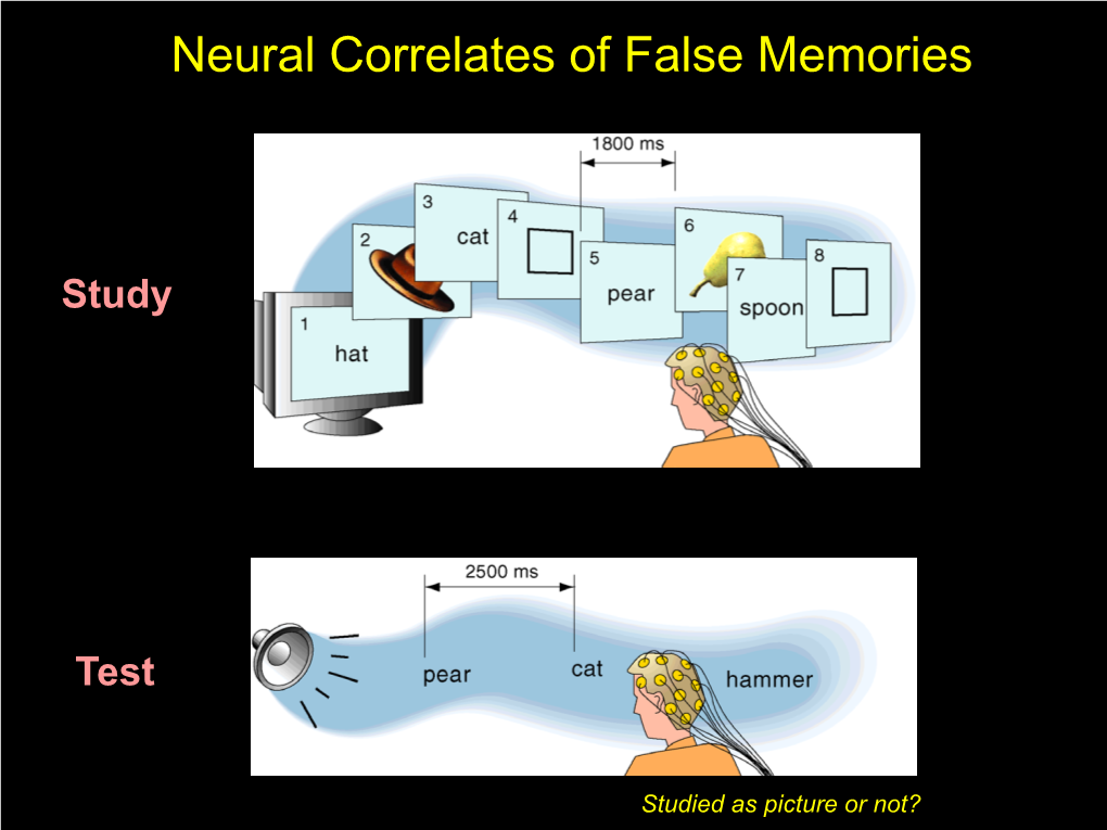 Neural Correlates of False Memories