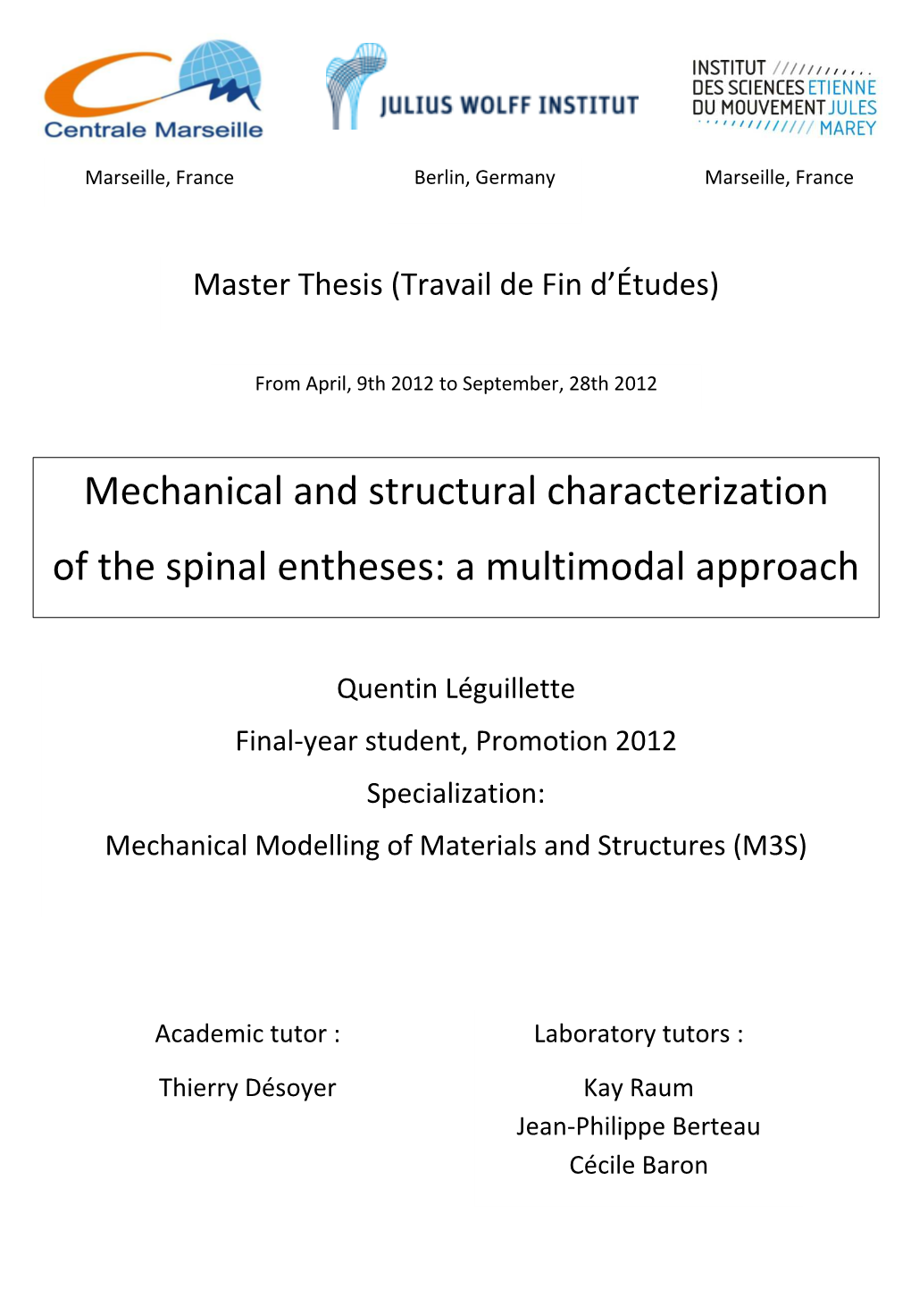 Mechanical and Structural Characterization of the Spinal Entheses: a Multimodal Approach