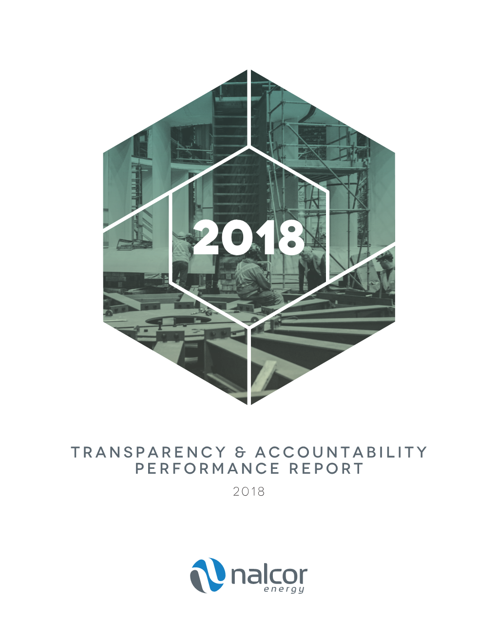 2018 Annual Performance Report Transparency and Accountability