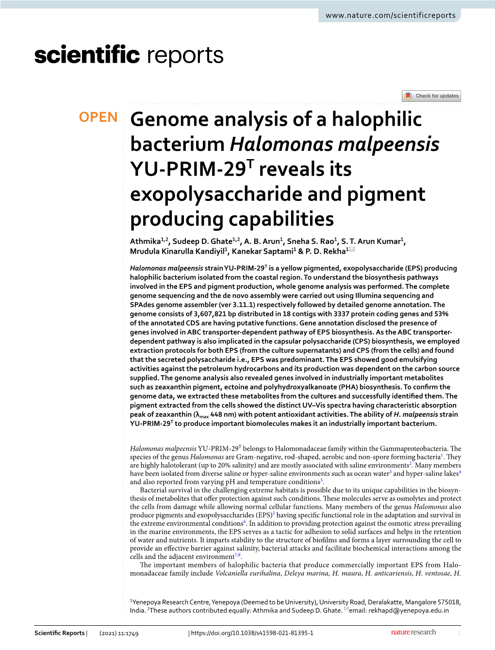 Genome Analysis of a Halophilic Bacterium Halomonas Malpeensis YU‑PRIM‑29T Reveals Its Exopolysaccharide and Pigment Producing Capabilities Athmika1,2, Sudeep D