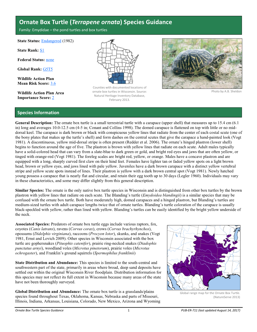 Ornate Box Turtle (Terrapene Ornata) Species Guidance Family: Emydidae – the Pond Turtles and Box Turtles