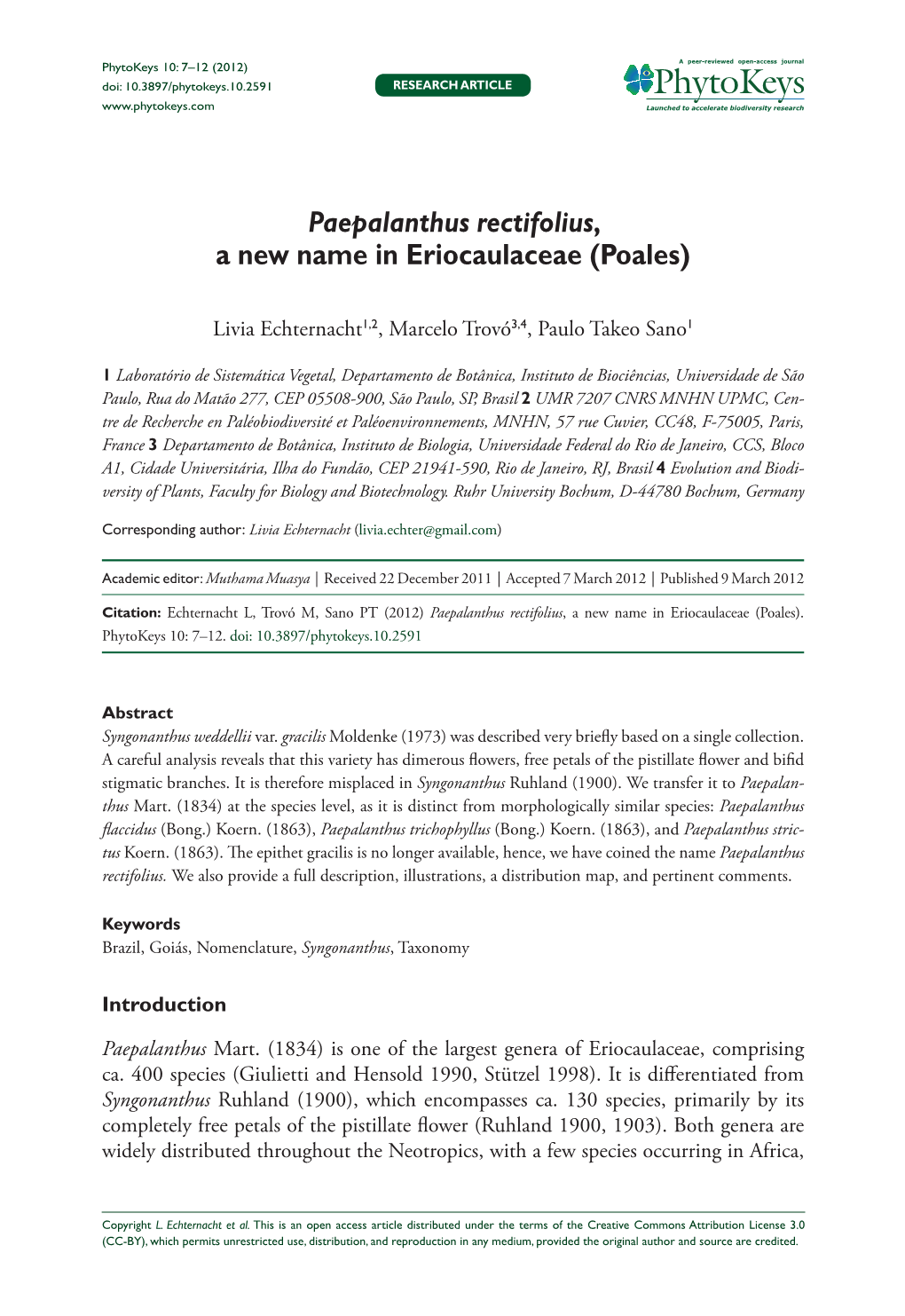 Paepalanthus Rectifolius, a New Name in Eriocaulaceae (Poales)