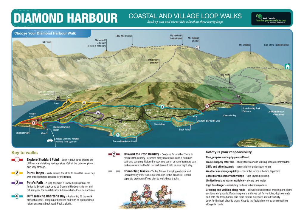 DIAMOND HARBOUR Soak up Sun and Views Like a Local on These Lovely Loops