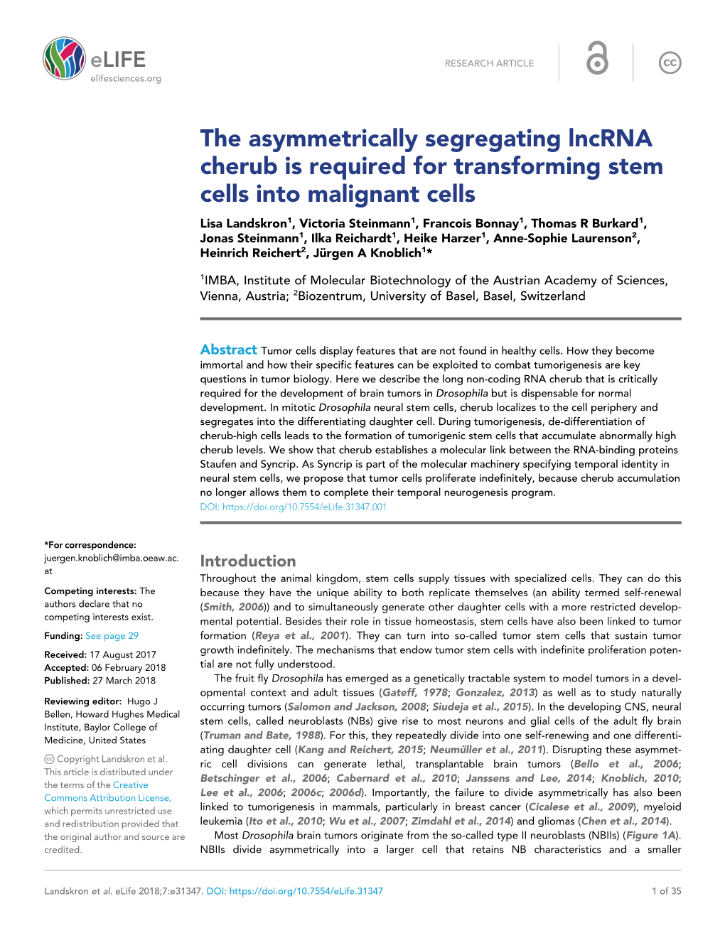 The Asymmetrically Segregating Lncrna Cherub Is Required For