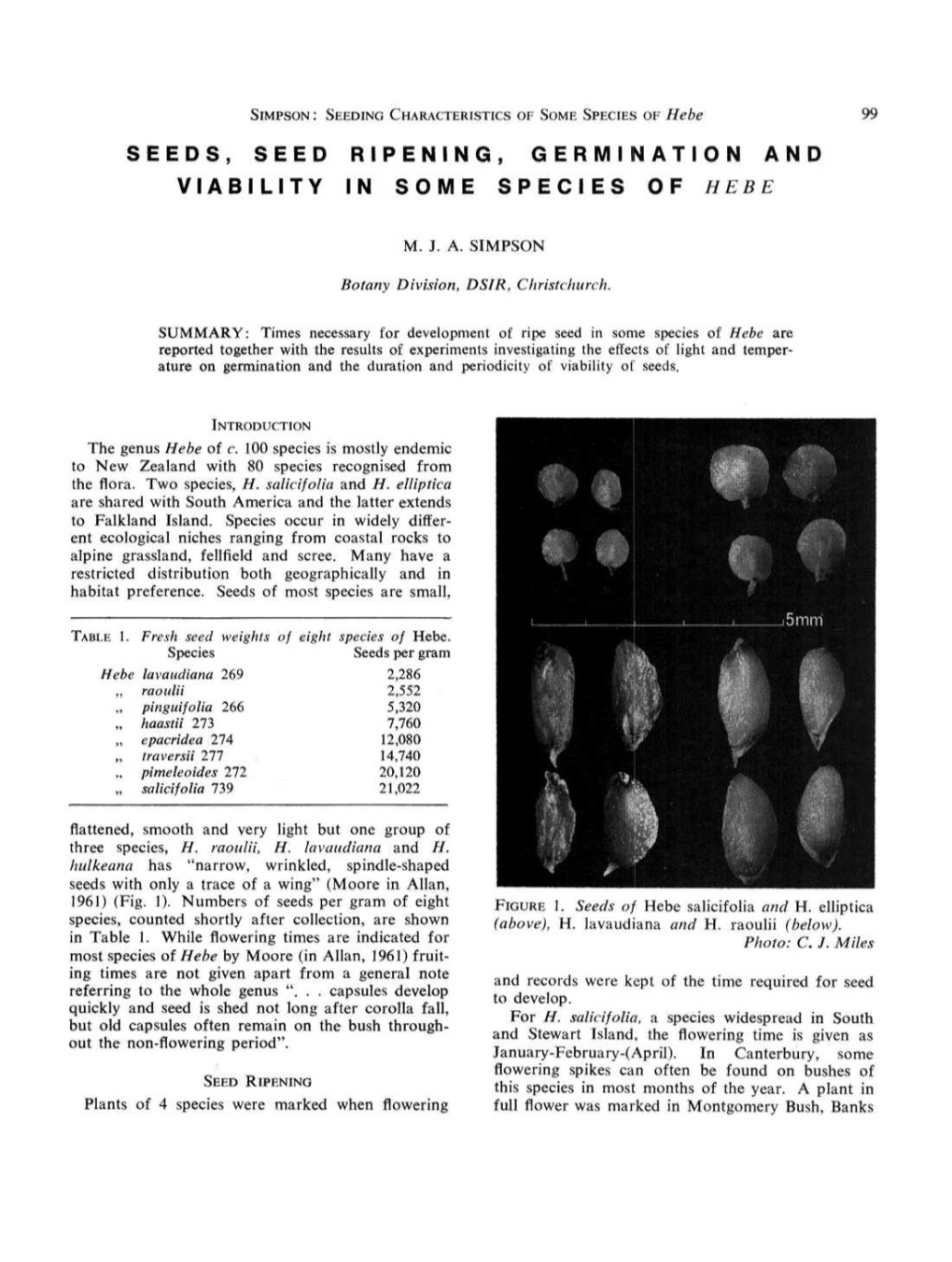 Hebe 99 SEEDS, SEED RIPENING, GERMINATION and VIABILITY in SOME SPECIES of HEBE