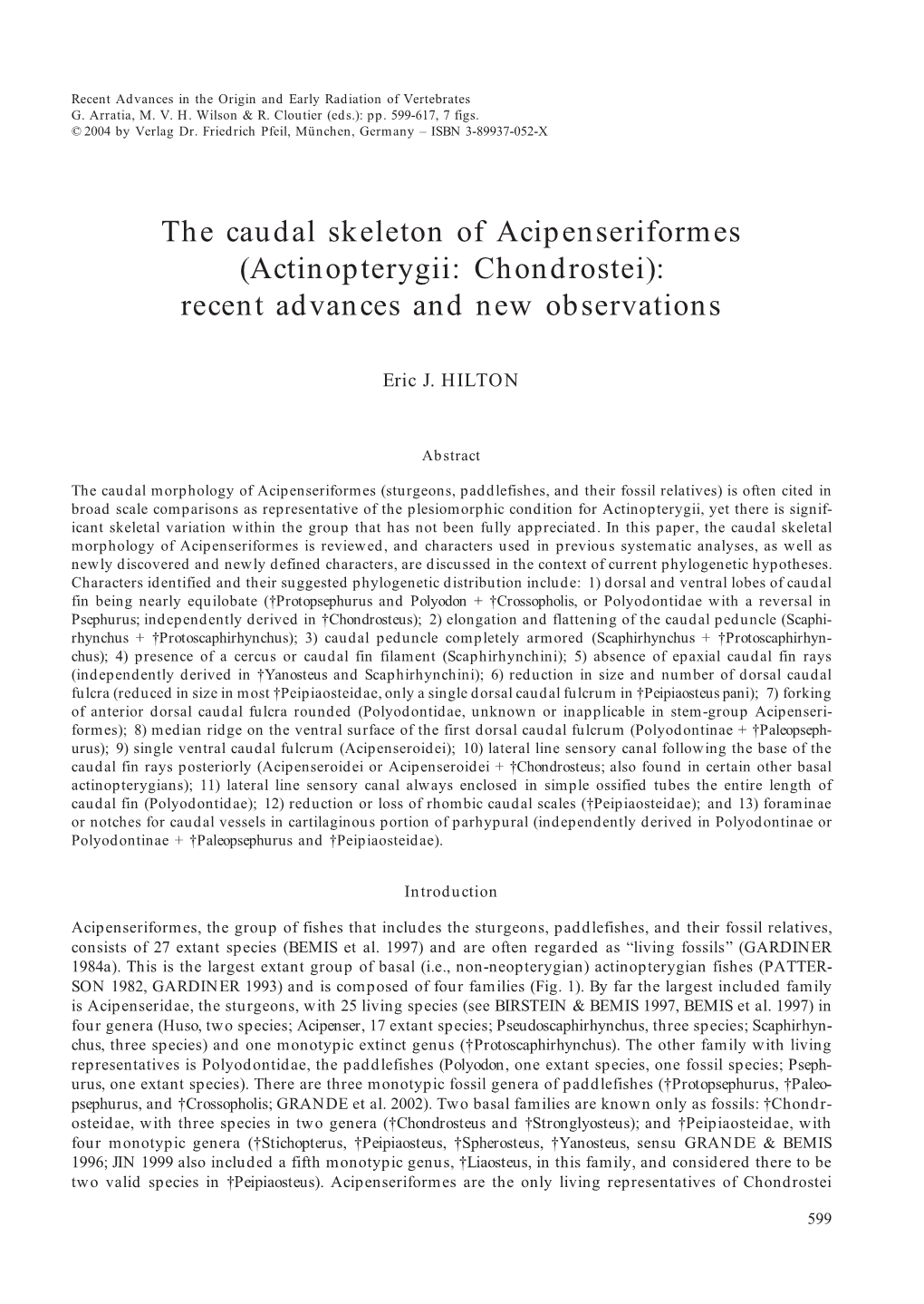 The Caudal Skeleton of Acipenseriformes (Actinopterygii: Chondrostei): Recent Advances and New Observations