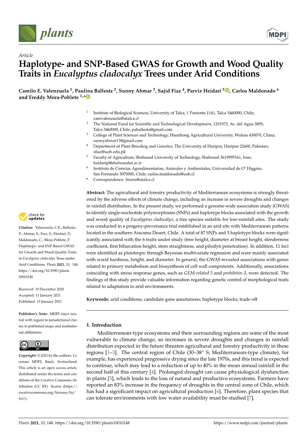 Haplotype- and SNP-Based GWAS for Growth and Wood Quality Traits in Eucalyptus Cladocalyx Trees Under Arid Conditions