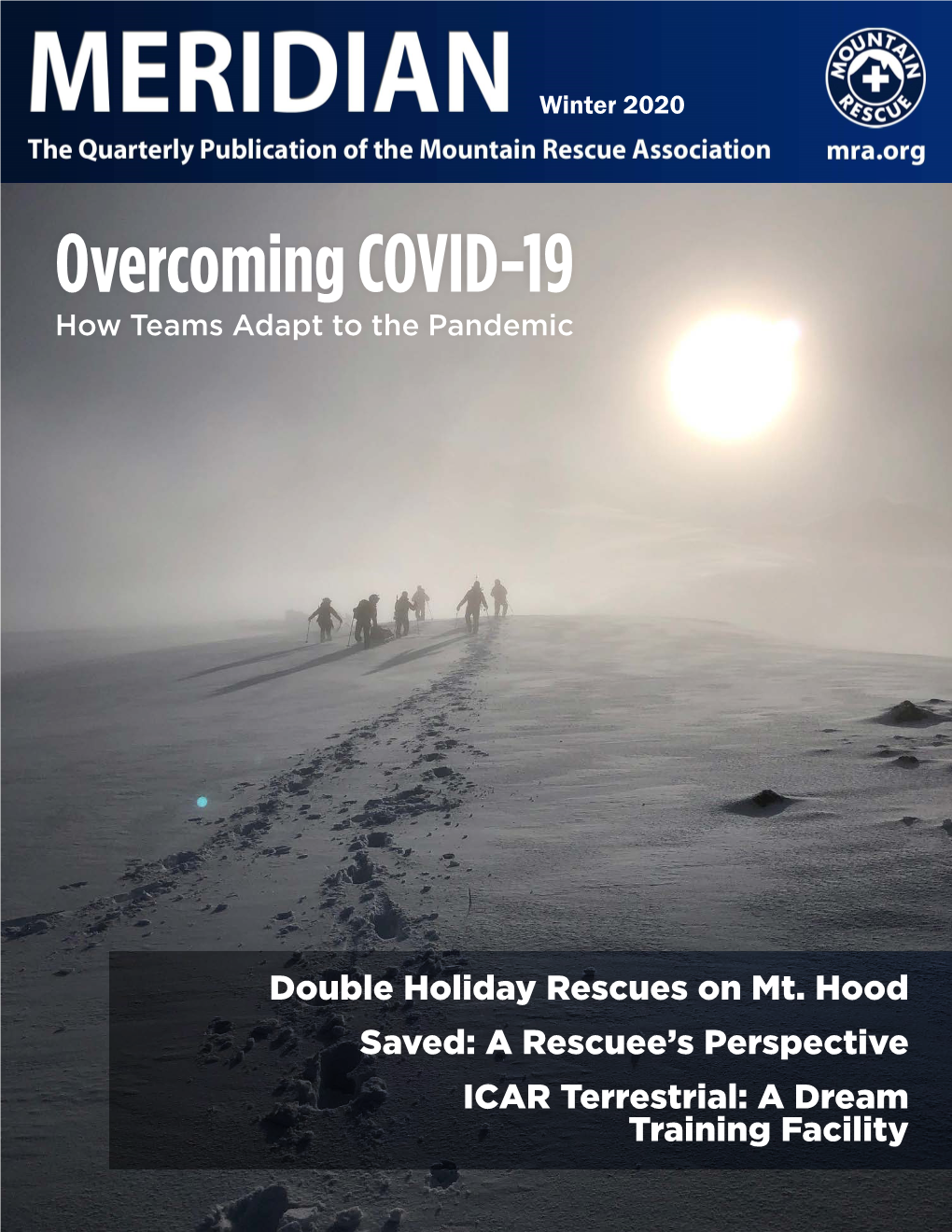 Overcoming COVID-19 How Teams Adapt to the Pandemic