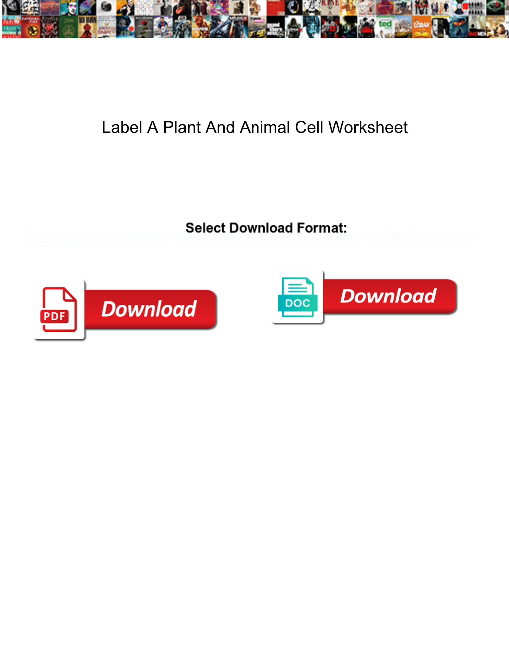 Label a Plant and Animal Cell Worksheet
