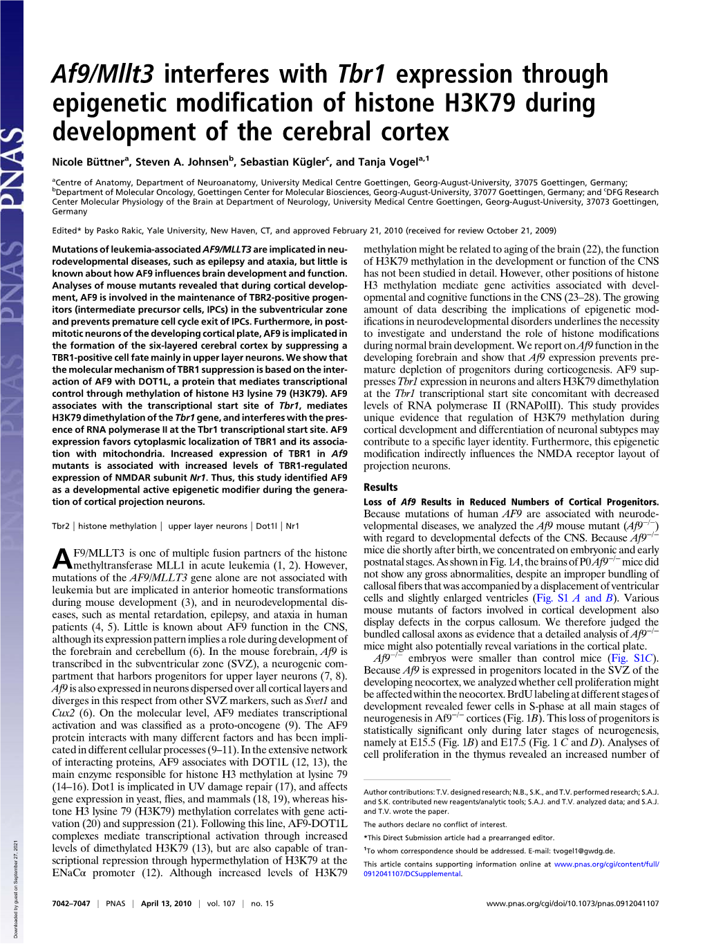 Af9/Mllt3 Interferes with Tbr1 Expression Through Epigenetic Modiﬁcation of Histone H3K79 During Development of the Cerebral Cortex