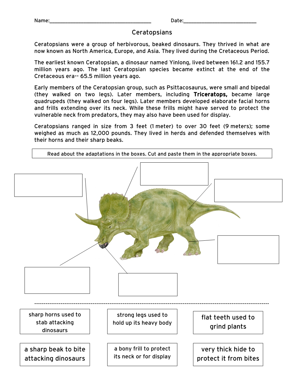 Ceratopsians Flat Teeth Used to Grind Plants a Sharp Beak to Bite Attacking