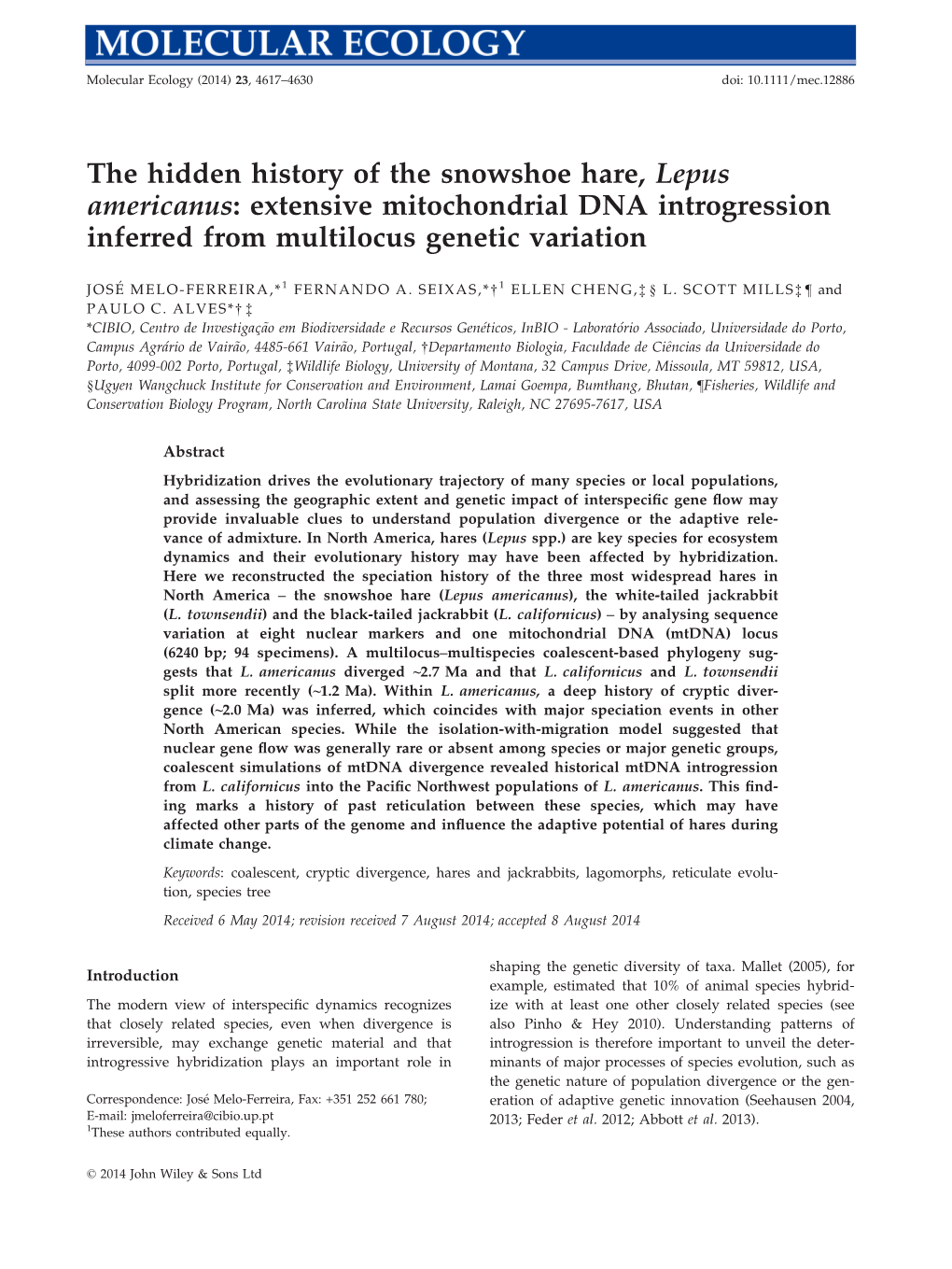 The Hidden History of the Snowshoe Hare, Lepus Americanus: Extensive Mitochondrial DNA Introgression Inferred from Multilocus Genetic Variation