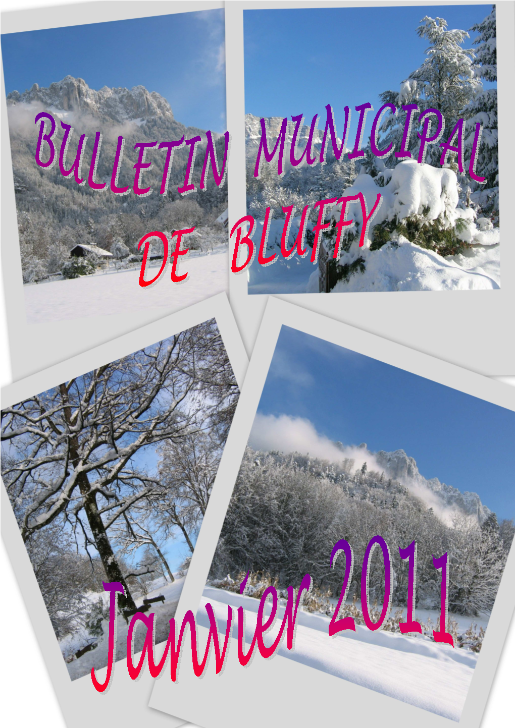 Bulletin Ianvier 2011.Pub