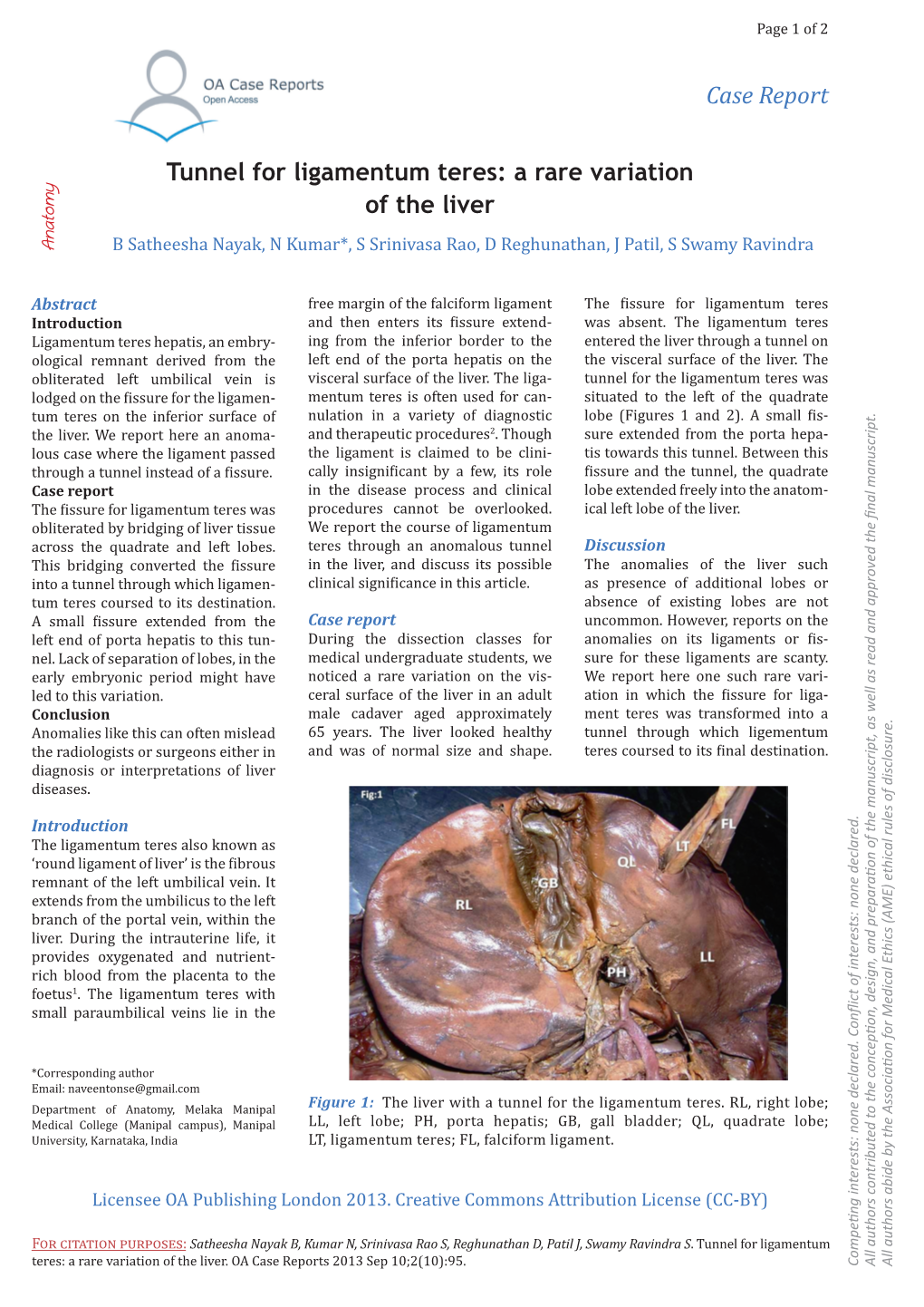 Tunnel for Ligamentum Teres: a Rare Variation of the Liver