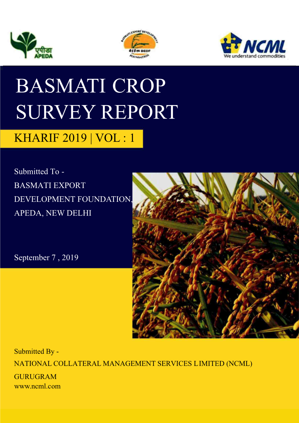 Basmati Survey Report Crop