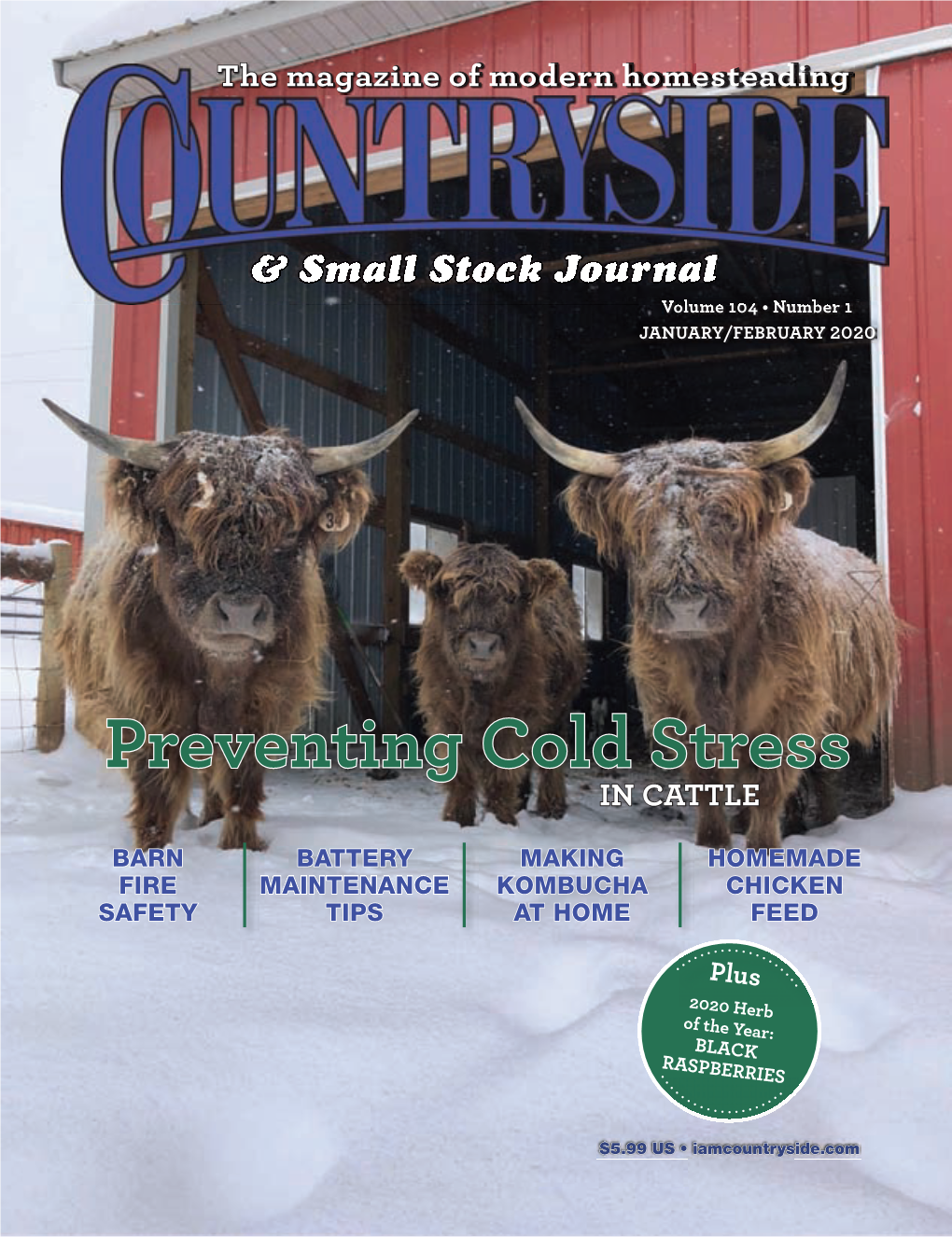 Preventing Cold Stress in CATTLE