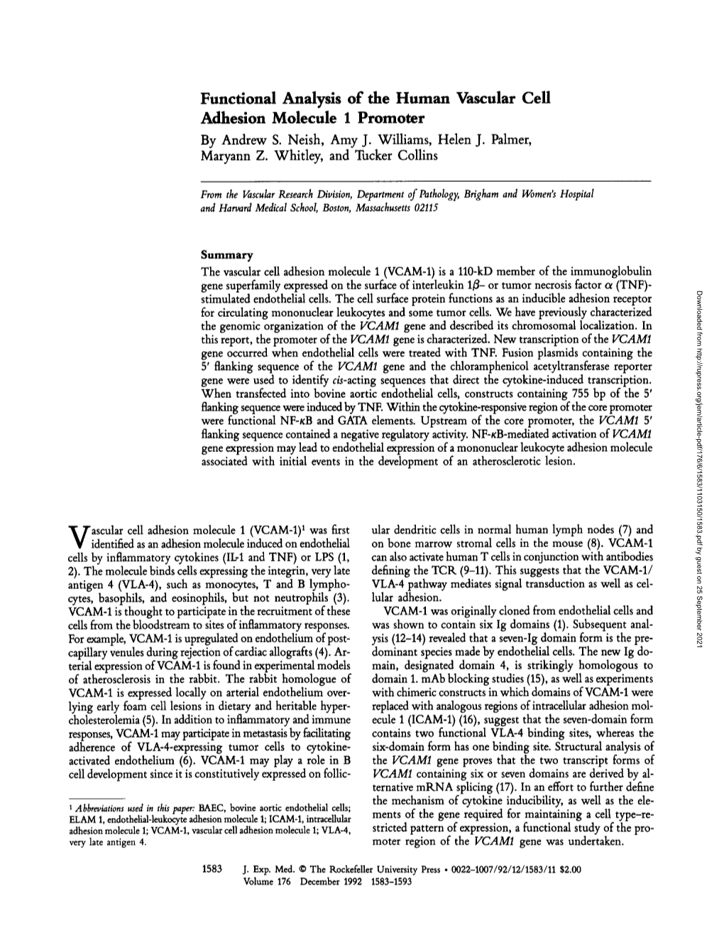 Functional Analysis of the Human Vascular Cell Adhesion Molecule 1 Promoter by Andrew S