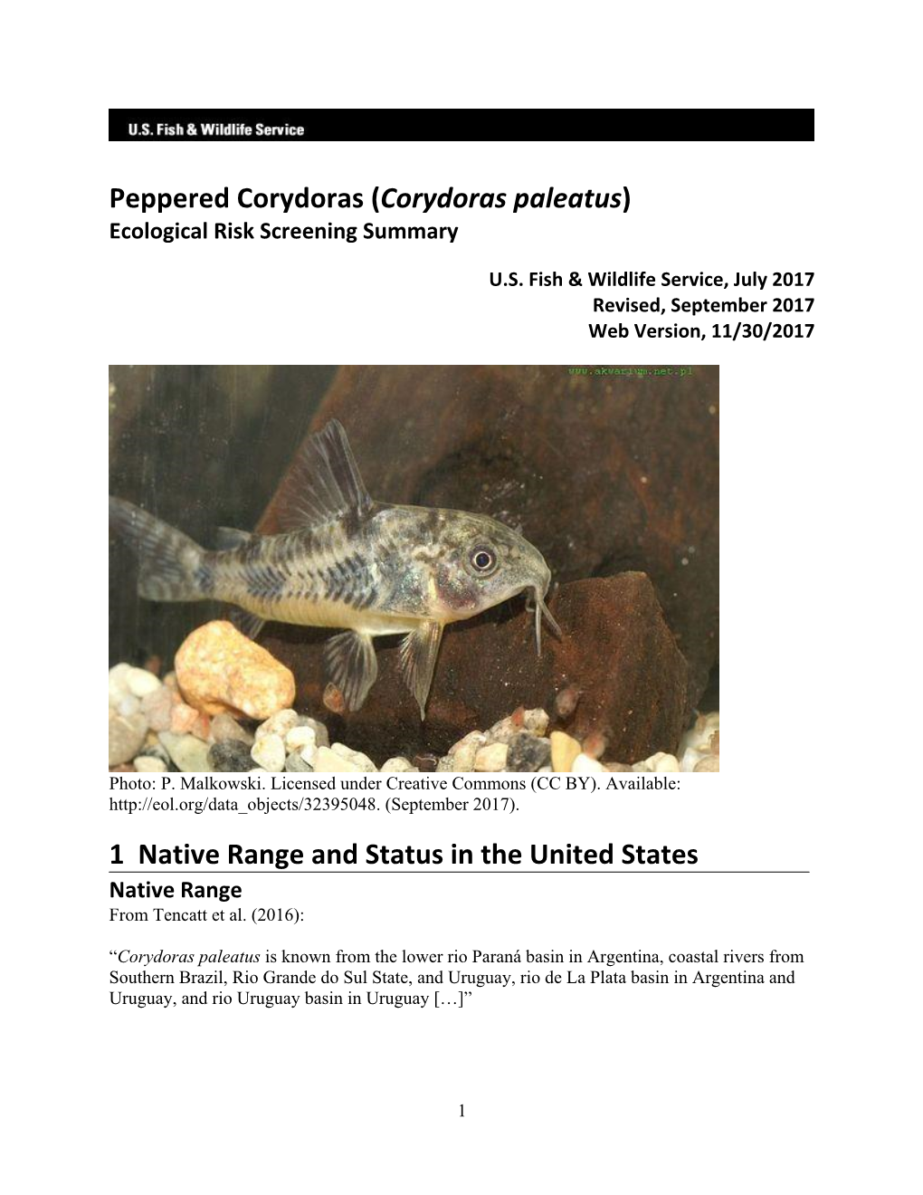 (Corydoras Paleatus) 1 Native Range and Status in the United States