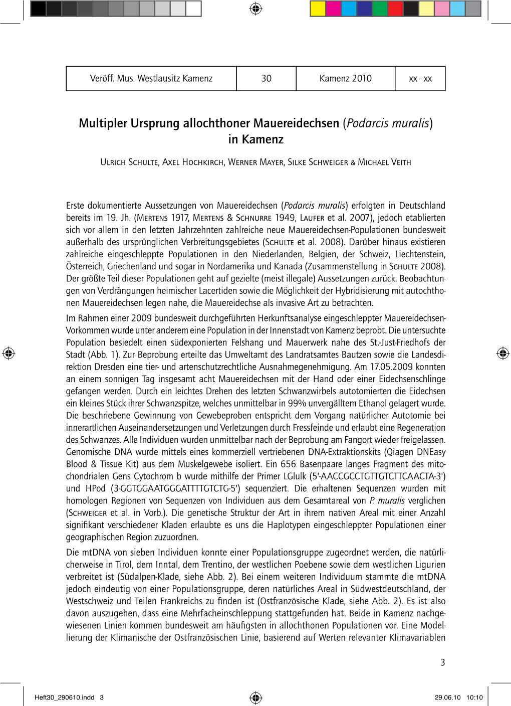 Multipler Ursprung Allochthoner Mauereidechsen (Podarcis Muralis) in Kamenz