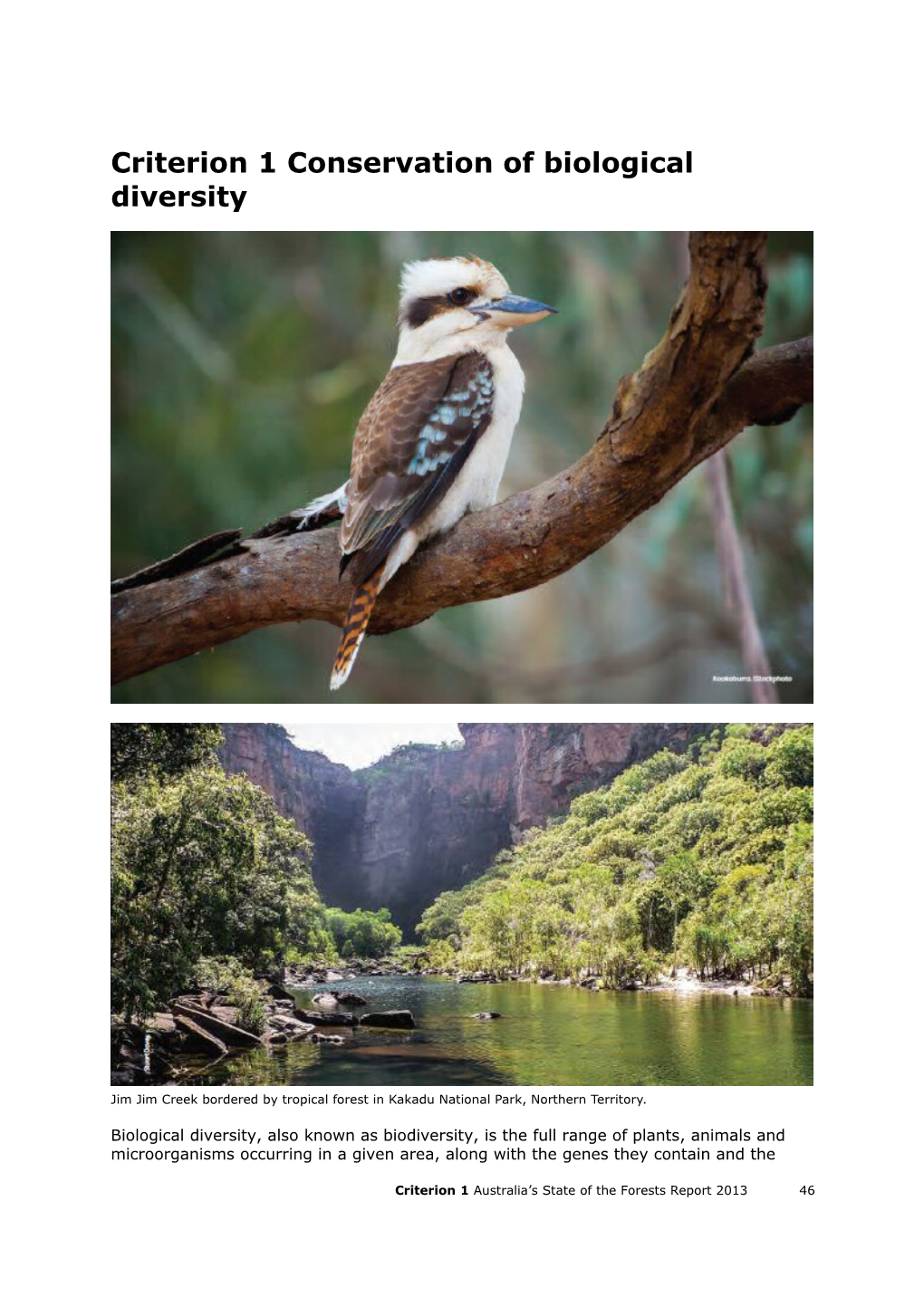 Australia's State of the Forests Report 2013 - Criterion 1 Conservation of Biological Diversity