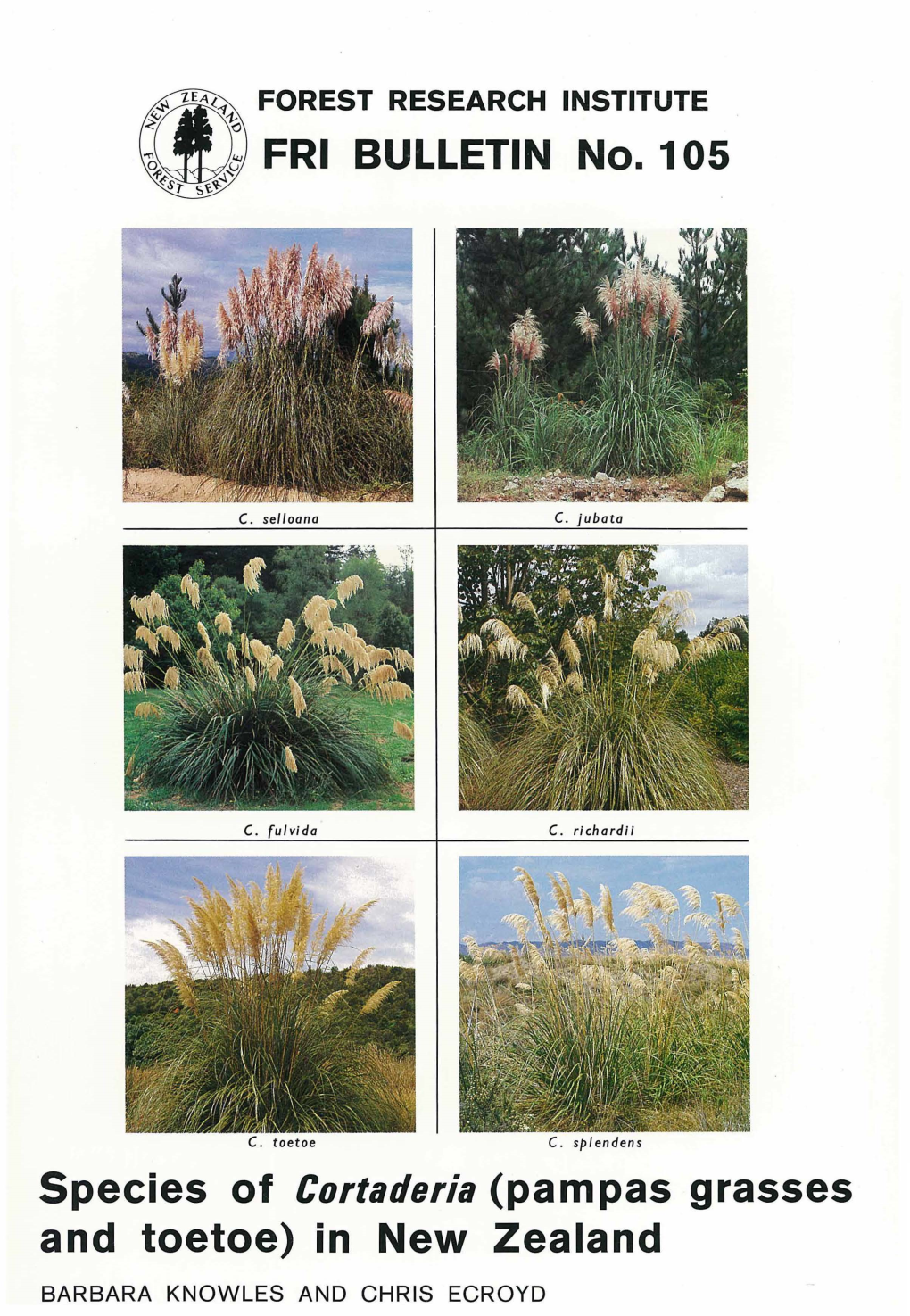 Species of Cortaderia (Pampas Grasses and Toetoe) in New Zealand