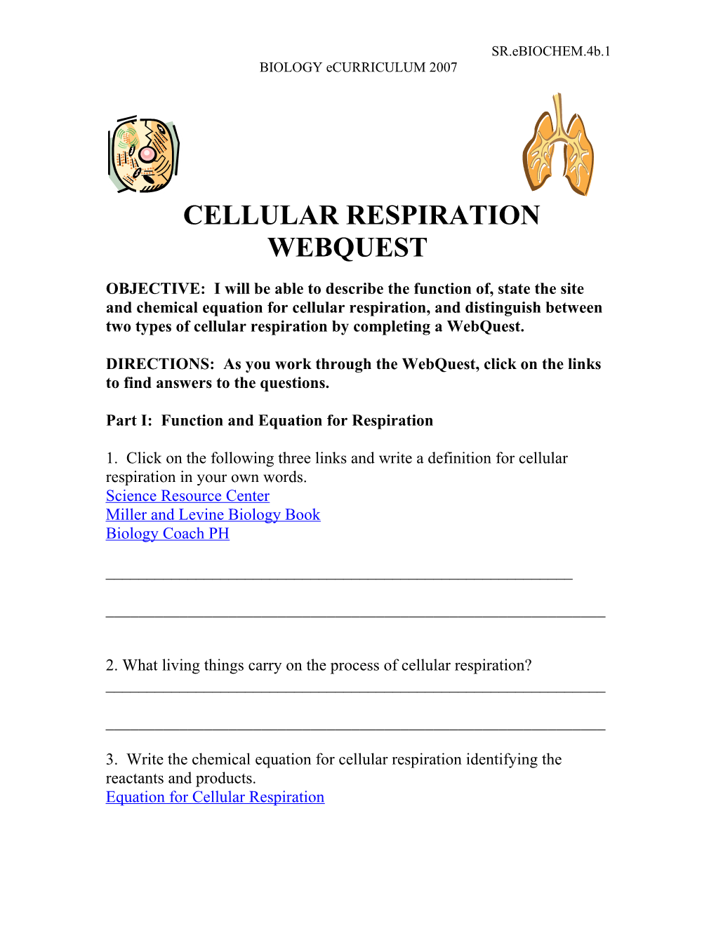 Cellular Respiration