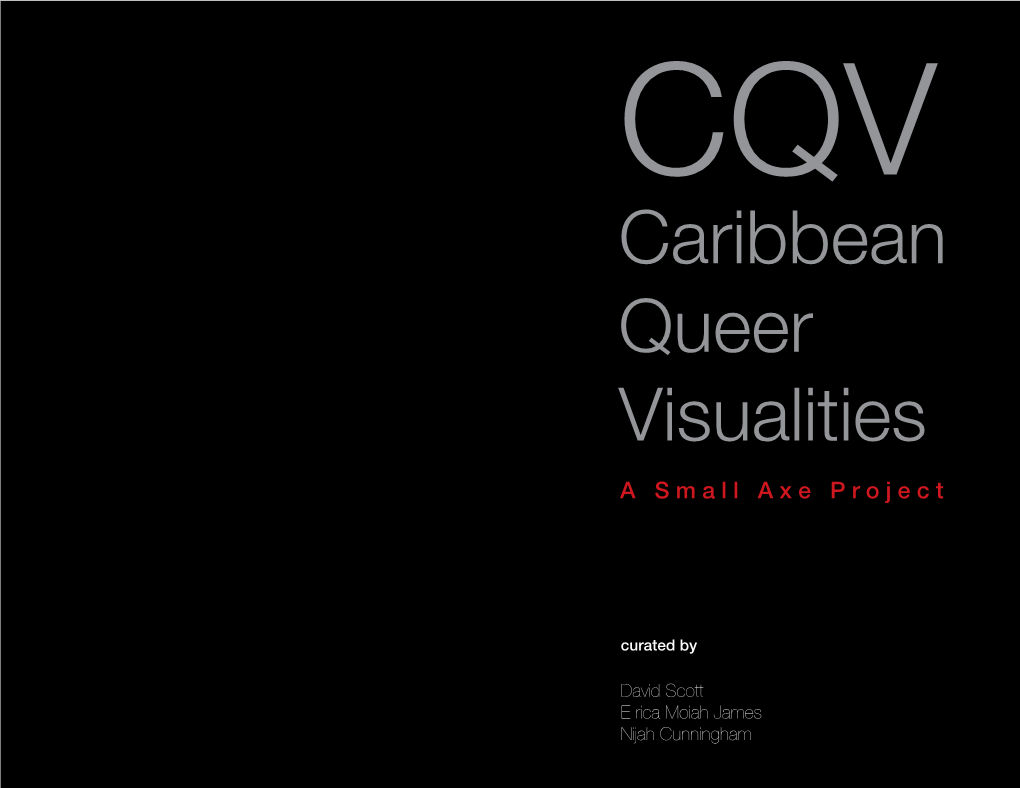 Caribbean Queer Visualities David Scott