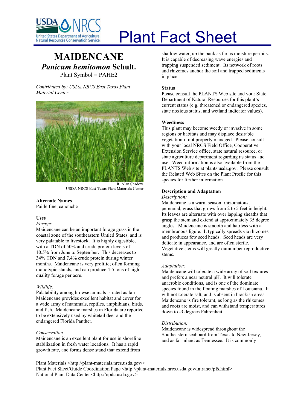 Maidencane Plant Fact Sheet