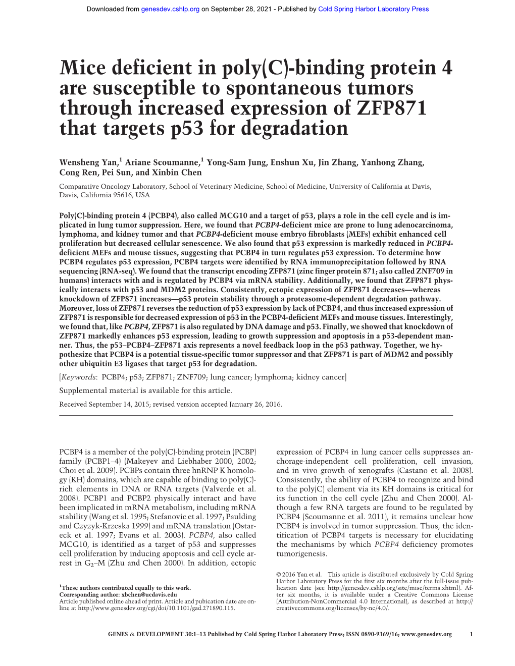 Mice Deficient in Poly(C)-Binding Protein 4 Are Susceptible to Spontaneous Tumors Through Increased Expression of ZFP871 That Targets P53 for Degradation