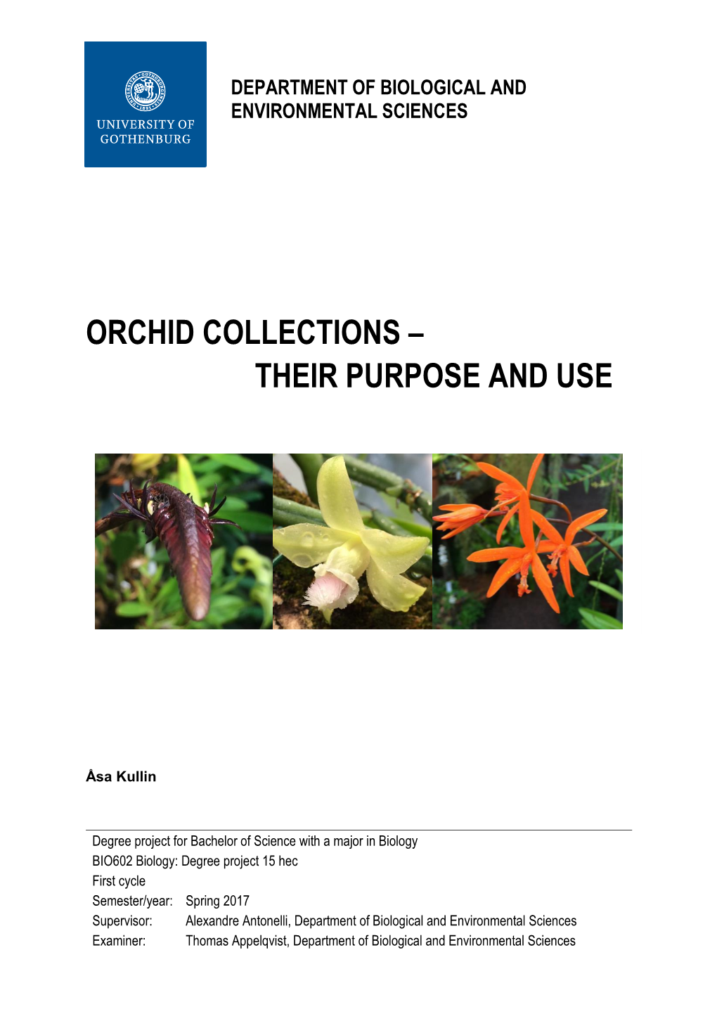 Orchid Collections – Their Purpose and Use