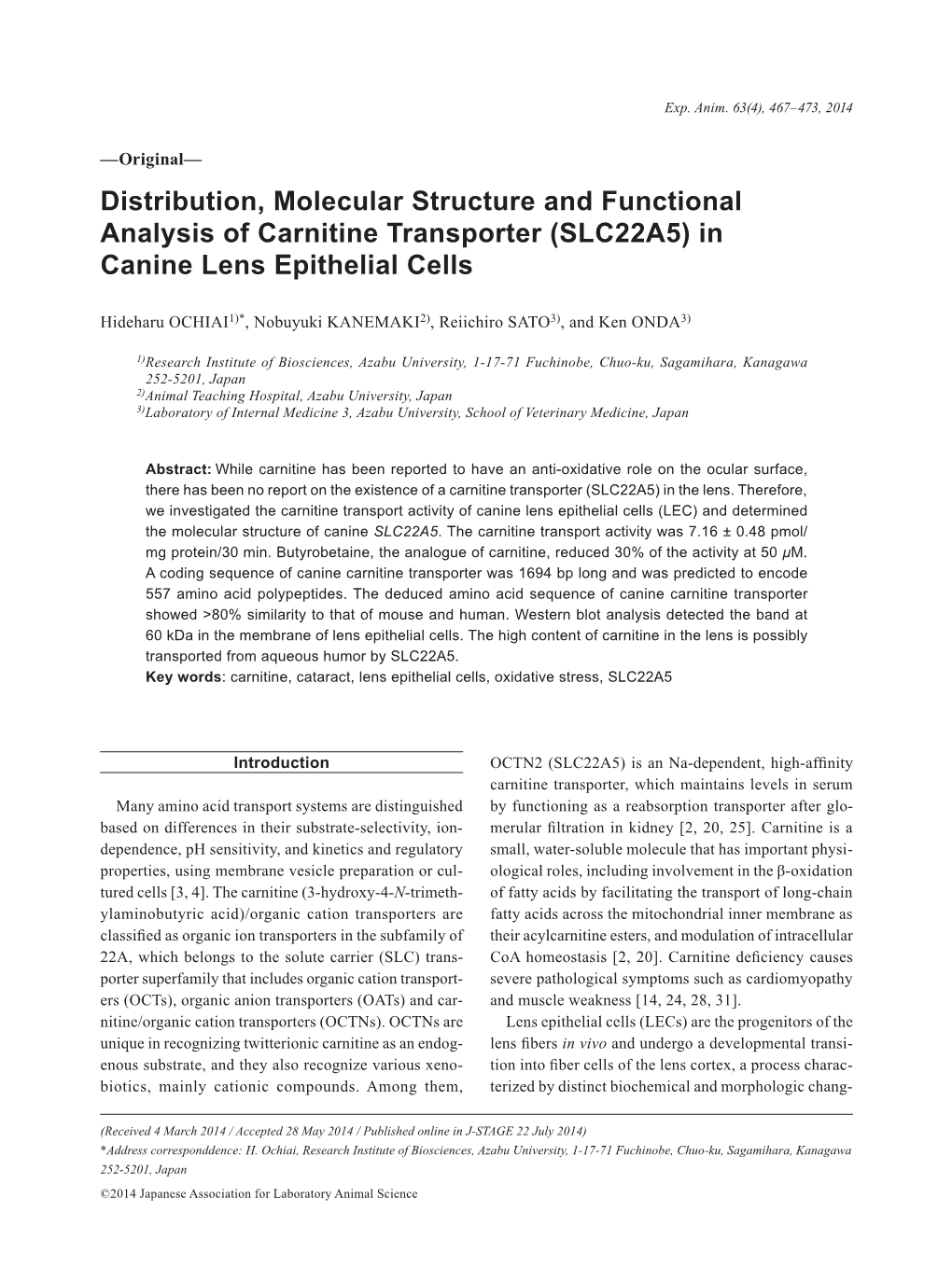 Distribution, Molecular Structure and Functional Analysis of Carnitine Transporter (SLC22A5) in Canine Lens Epithelial Cells