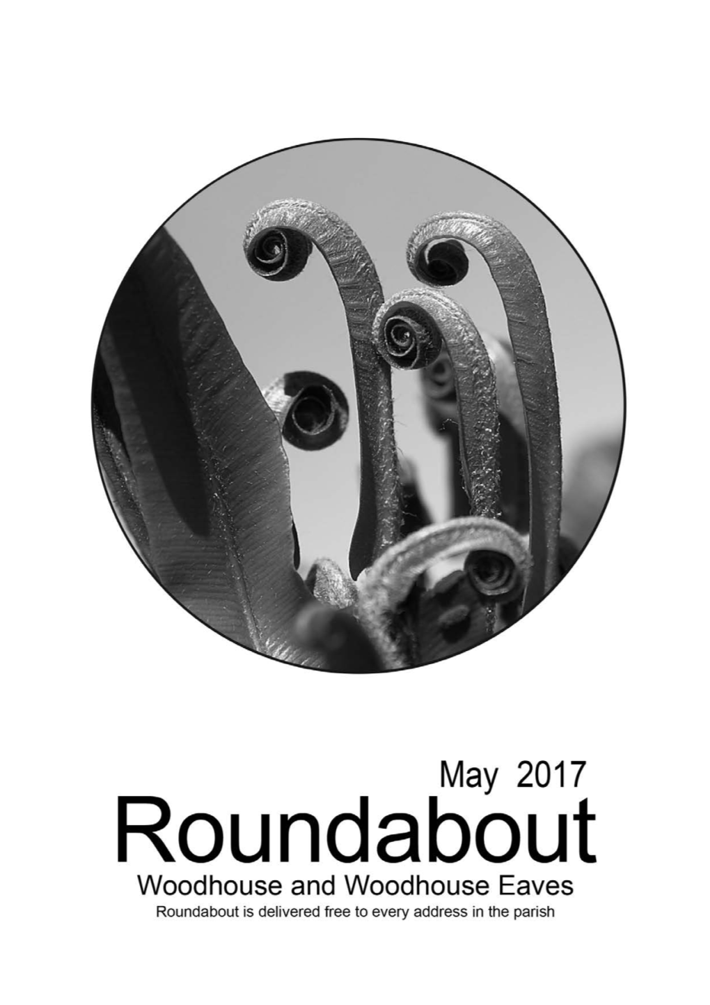 Roundabout 2017 05