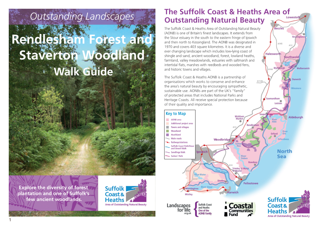 Rendlesham Forest and Staverton Woodland Walk Starting from the Main Car Park