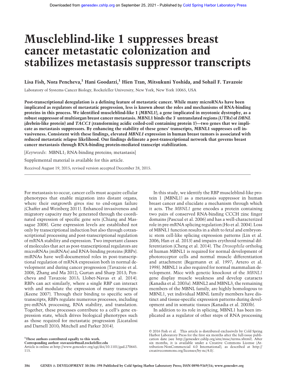 Muscleblind-Like 1 Suppresses Breast Cancer Metastatic Colonization and Stabilizes Metastasis Suppressor Transcripts