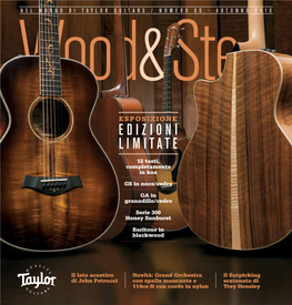 Nel Mondo Di Taylor Guitars