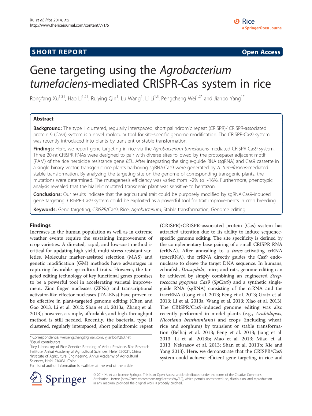 Gene Targeting Using the Agrobacterium Tumefaciens
