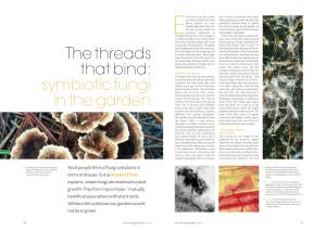 The Threads That Bind: Symbiotic Fungi in the Garden