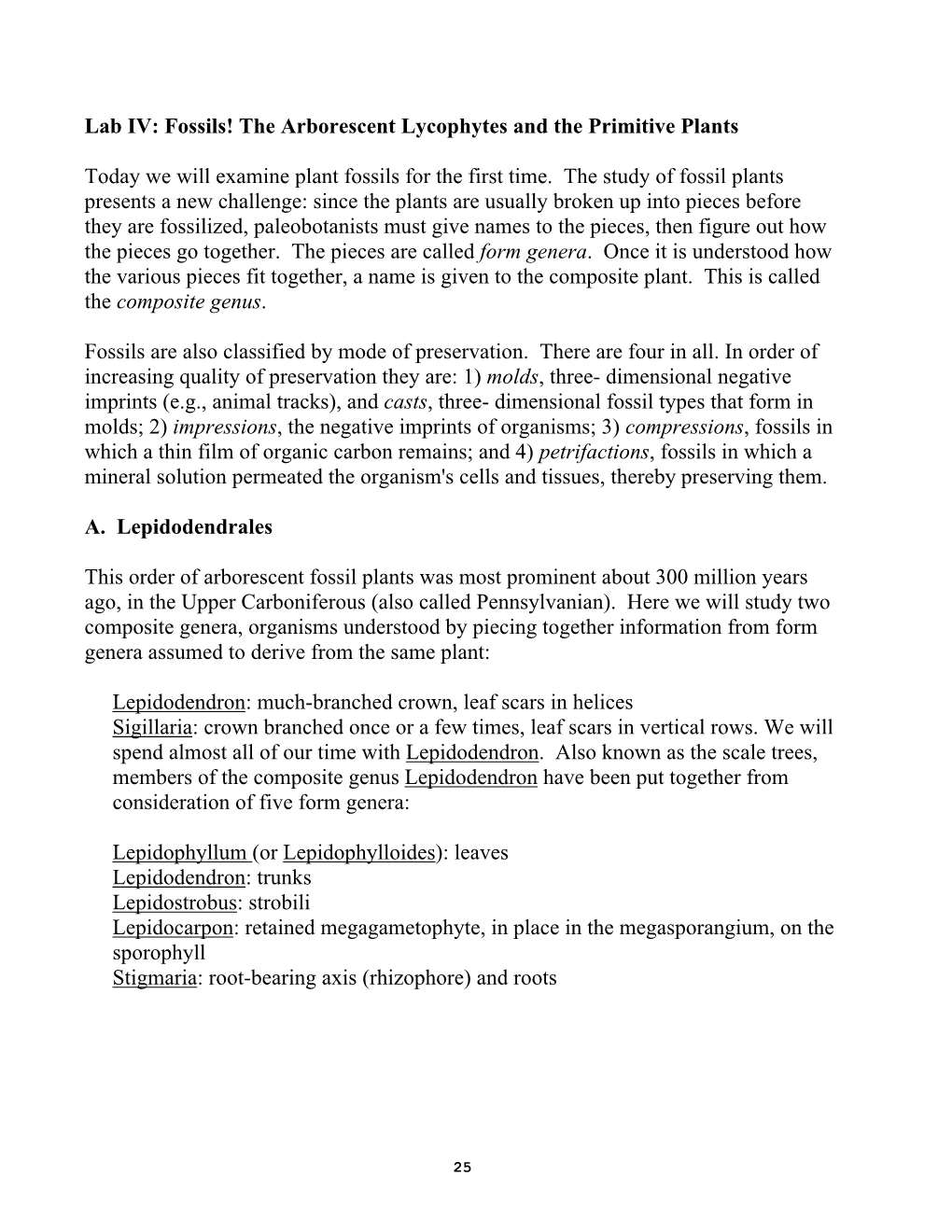 Lab IV: Fossils! the Arborescent Lycophytes and the Primitive Plants