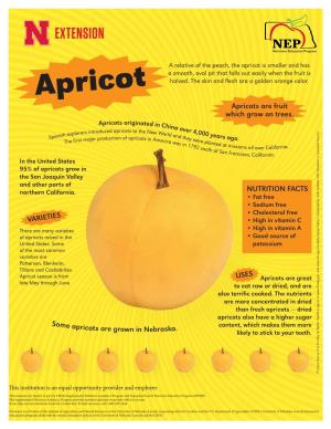 Apricot Is Smaller and Has a Smooth, Oval Pit That Falls out Easily When the Fruit Is Apricot Halved