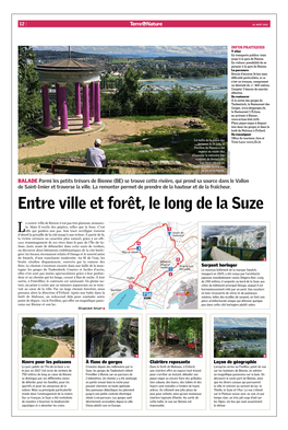 Entre Ville Et Forêt, Le Long De La Suze